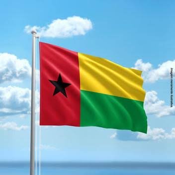 Governo rejeita interferência da missão de CEDEAO nos assuntos internos da Guiné-Bissau