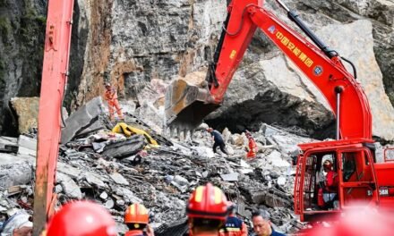 China/Xi pede esforços científicos nas operações de busca e resgate após desabamento de montanha em Chongqing
