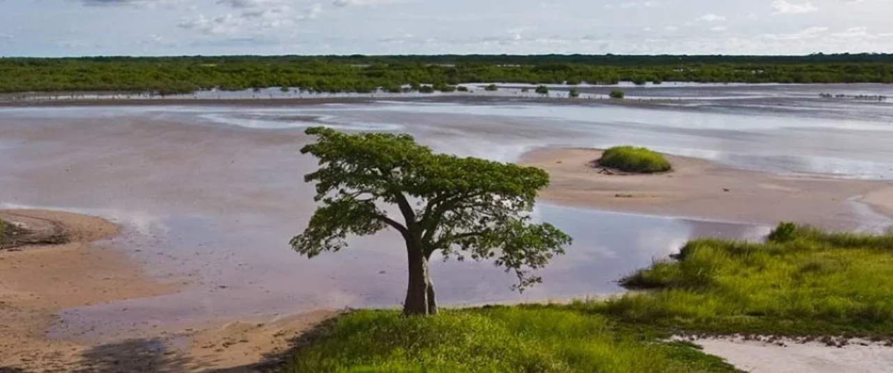 Côte D´Ivoire/Programa WACA fortaleceu resiliência de mais 500 mil pessoas de África Ocidental