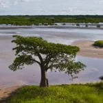 Côte D´Ivoire/Programa WACA fortaleceu resiliência de mais 500 mil pessoas de África Ocidental