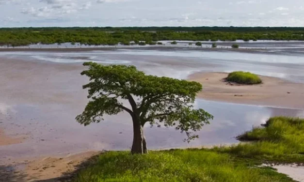 Côte D´Ivoire/Programa WACA fortaleceu resiliência de mais 500 mil pessoas de África Ocidental