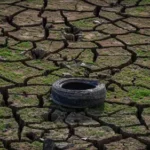 Clima/ONU alerta para El Niño forte de Julho à Setembro, com impactos climáticos por vários meses