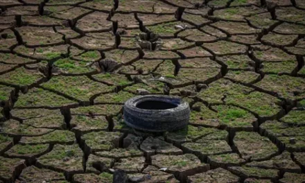 Clima/ONU alerta para El Niño forte de Julho à Setembro, com impactos climáticos por vários meses