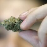 ONU/Fraudes digitais e drogas sustentam “economia criminosa multinacional” na Ásia