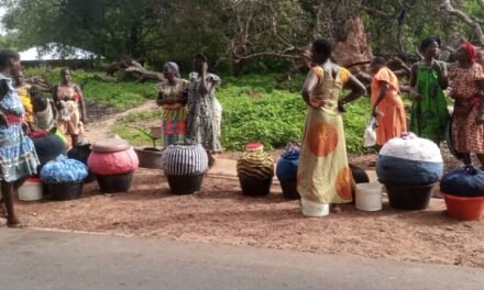 Regiões/Mulheres horticultoras de Clande região de Biombo pedem apoio do Governo para melhor exercerem suas atividades