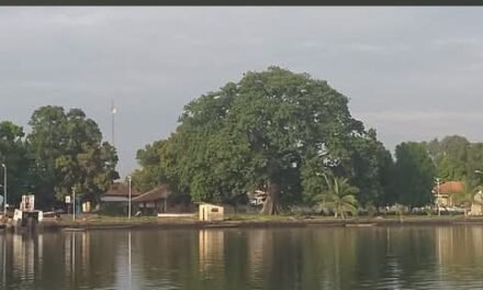 Ambiente/ ‎Farim acolhe Xª edição da escola nacional do ambiente com foco na sensibilização e sustentabilidade