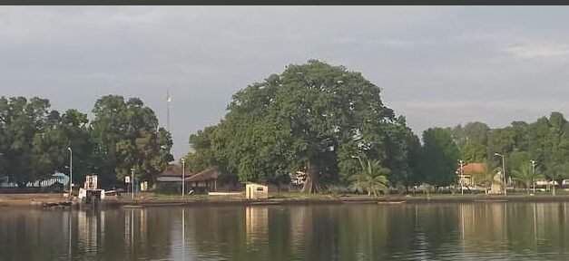 Ambiente/ ‎Farim acolhe Xª edição da escola nacional do ambiente com foco na sensibilização e sustentabilidade
