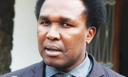Moçambique/ Venâncio Mondlane notificado para ser julgado por desobediência e terrorismo
