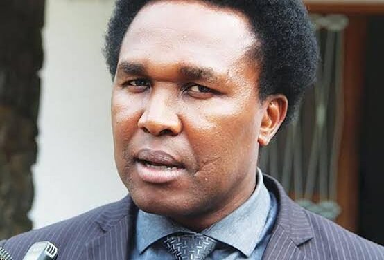 Moçambique/ Venâncio Mondlane notificado para ser julgado por desobediência e terrorismo
