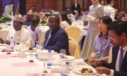 China e África reforçam cooperação no domínio da media