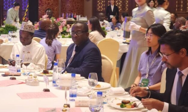 China e África reforçam cooperação no domínio da media
