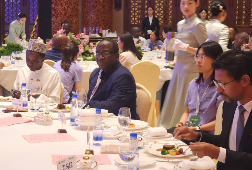 China e África reforçam cooperação no domínio da media