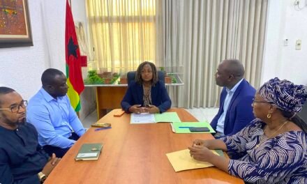 BAD prevê capacitação técnico-profissioal de  560 jovens e mulheres guineenses