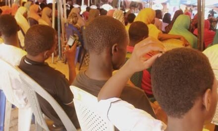 Nigéria/Quadrilha liberta 48 crianças após pagamento de resgate