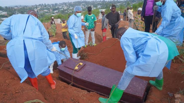 Vaticano/Papa pede esforços contra a epidemia de Ébola na RDC, que completa 100 dias ainda fora de controle