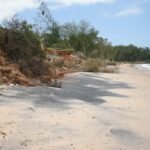 Jornalistas da África Ocidental reúnem-se em Abidjan para conhecer projetos de resiliência costeira na Costa do Marfim
