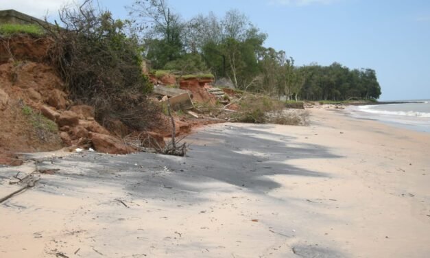 Jornalistas da África Ocidental reúnem-se em Abidjan para conhecer projetos de resiliência costeira na Costa do Marfim