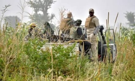 Nigéria/Governo apresenta estratégia de cinco anos para combater o crime organizado