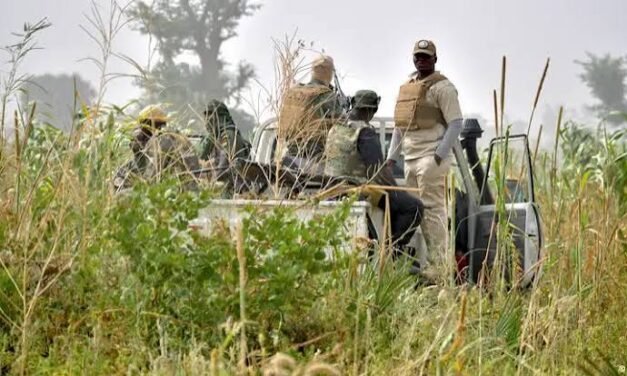 Nigéria/Governo apresenta estratégia de cinco anos para combater o crime organizado