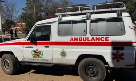 Zimbabué/ Vinte e sete mortos em violenta colisão frontal de viaturas