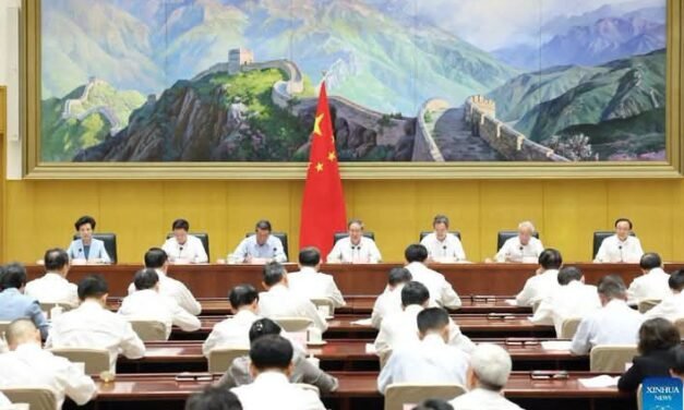 China/Primeiro-ministro enaltece esforços para  cumprimento das metas anuais de desenvolvimento económico