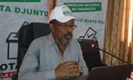 CNT exige provas que sustentam que a participação no Referendo ê inferior à cinco por cento