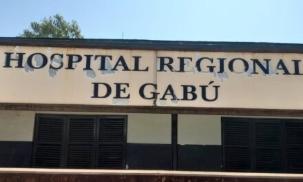 Regiões / Governo Regional  de Gabu prevê medicação de cerca de 53 mil crianças contra paludismo