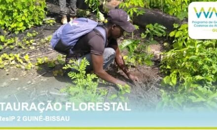 IBAP restaura áreas florestais degradadas de Cantanhez com 1815 espécies de plantas ecológicas