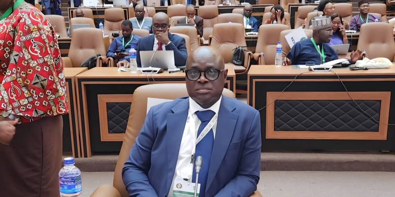 CEDEAO/“A Prioridade da Guiné-Bissau é dar autonomia técnica e financeira a ANC-GB”, diz o ministro do Comércio e Indústria, Jaimentino Có