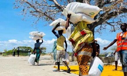 Moçambique/ Cerca de quatro milhões de pessoas afetadas por insegurança alimentar aguda