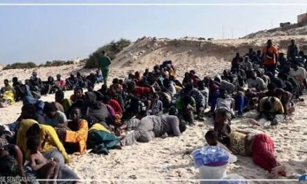 Senegal/Cerca de 100 senegaleses serão repatriados de Marrocos nos próximos dias