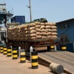 Guiné-Bissau ultrapassa previsão de exportação de castanha de caju em 2026