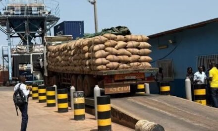Guiné-Bissau ultrapassa previsão de exportação de castanha de caju em 2026