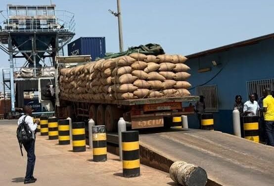 Guiné-Bissau ultrapassa previsão de exportação de castanha de caju em 2026