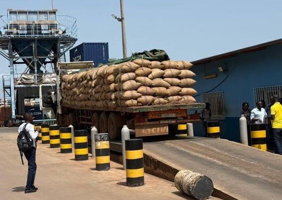 Guiné-Bissau ultrapassa previsão de exportação de castanha de caju em 2026