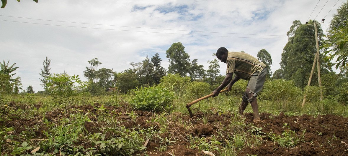 Segurança Alimentar na África/Iniciativa AAA revela seu roteiro até 20236 em Roma