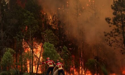 OMM/Aumento de incêndios e ondas de calor ameaça a qualidade do ar e a saúde, alerta agência da ONU