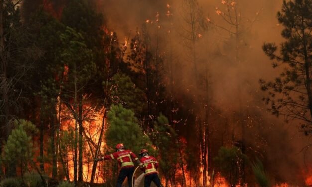 OMM/Aumento de incêndios e ondas de calor ameaça a qualidade do ar e a saúde, alerta agência da ONU