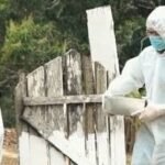 Namíbia/Economia em crise devido à febre aftosa