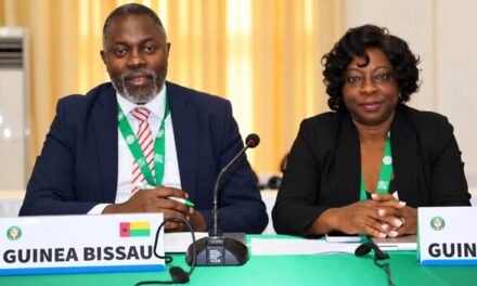 Guiné-Bissau participa no ateliê sobre Liderança e Gestão Estatística em Monróvia