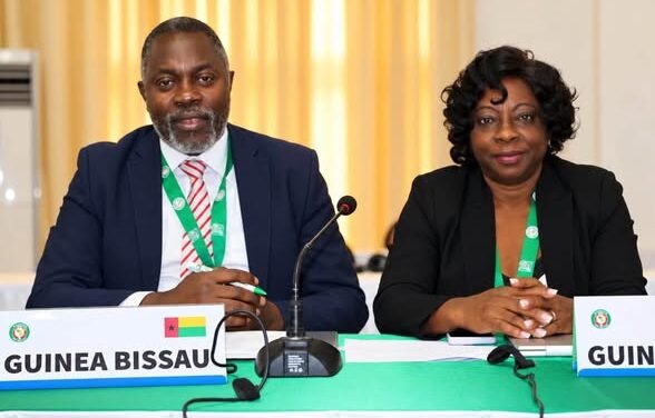 Guiné-Bissau participa no ateliê sobre Liderança e Gestão Estatística em Monróvia