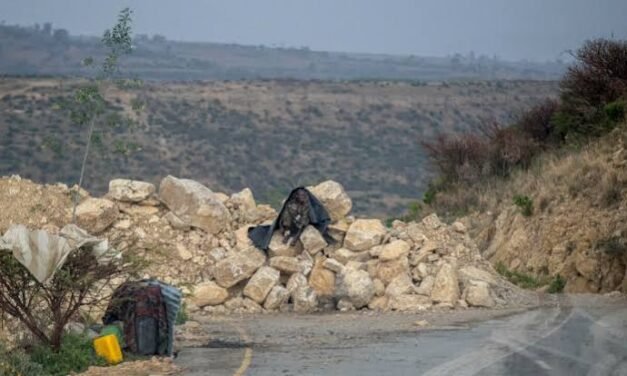 Etiópia/Aumentam os receios de uma guerra aberta contra   a Eritreia