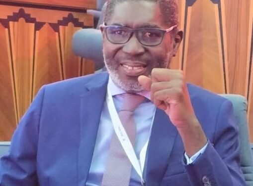 Educação/ Guiné-Bissau se compromete a melhorar a qualidade do ensino na conferência internacional que decorre em Dacar