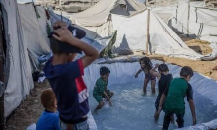 Suíça/ONU alerta que quase metade das crianças refugiadas não vai à escola