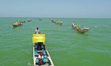 Senegal/ Greenpeace e pescadores alertam para impacto da exploração de petróleo em Djifére