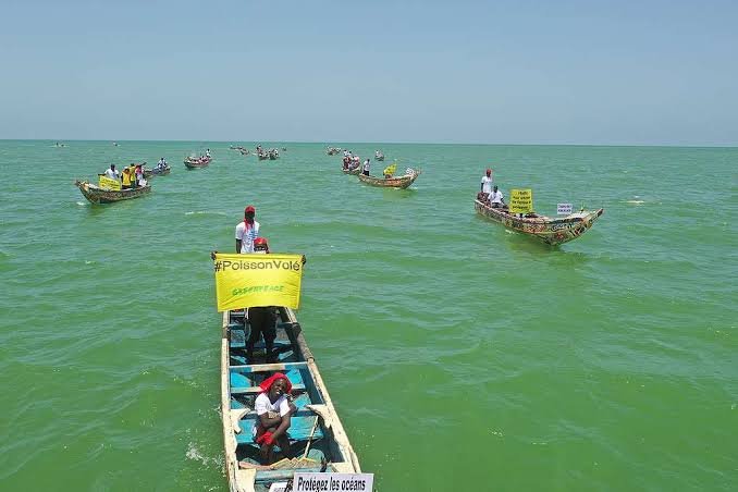 Senegal/ Greenpeace e pescadores alertam para impacto da exploração de petróleo em Djifére