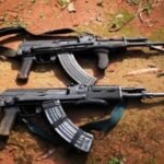 Zimbabué/Amnistia nacional para incentivar a entrega voluntária de armas de fogo ilegais