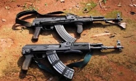 Zimbabué/Amnistia nacional para incentivar a entrega voluntária de armas de fogo ilegais
