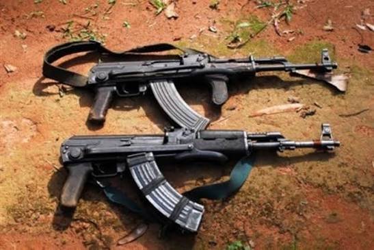 Zimbabué/Amnistia nacional para incentivar a entrega voluntária de armas de fogo ilegais