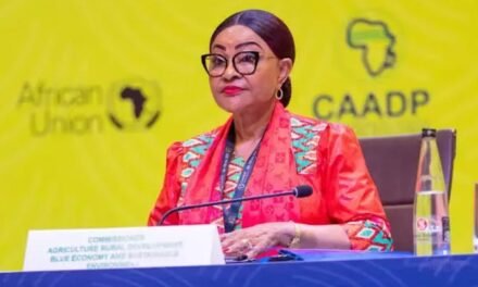 Angola/Governo apresenta candidatura de Josefa Sacko à direcção-geral da FAO